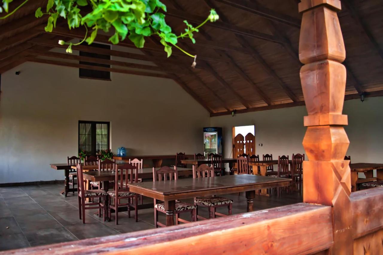 Conacul Cosaului Hotel Feresti ภายนอก รูปภาพ