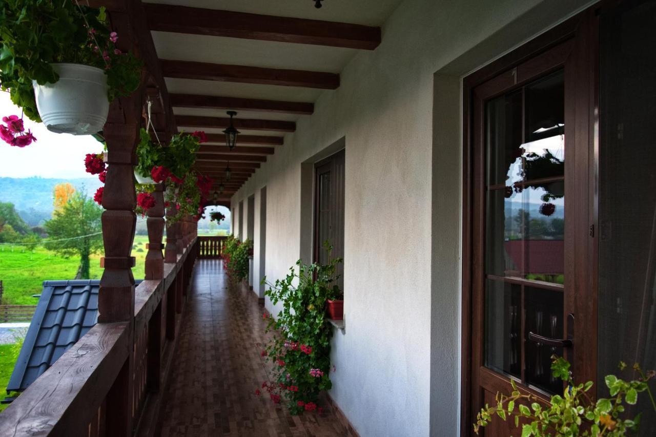 Conacul Cosaului Hotel Feresti ภายนอก รูปภาพ